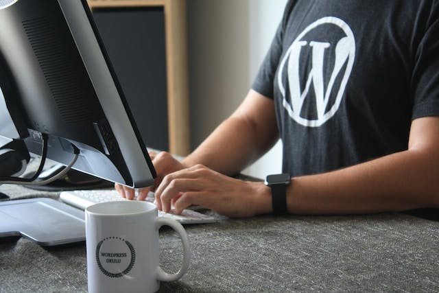 Person with Wordpress Tshirt developing website